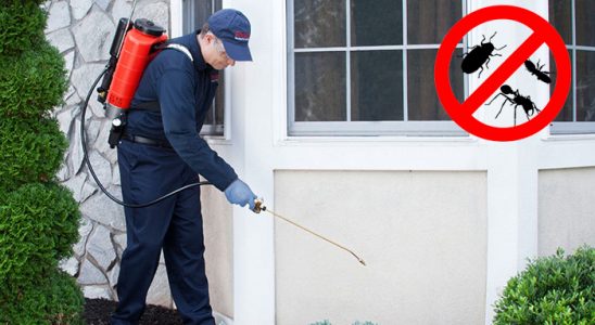 Bünyan Dezenfeksiyon böcek ilaçlama ve haşere kontrolü — ilaclama-tr.com